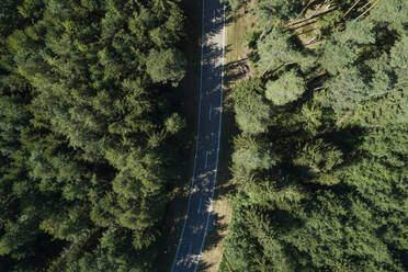 Deutschland, Bayern, Drohnenansicht einer Autobahn, die durch einen grünen Kiefernwald führt - RUEF02723