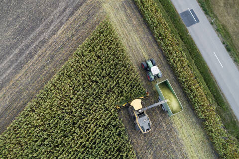 Germany, Bavaria, Drone view of combine and tractor harvesting corn stock photo