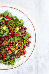 Plate of vegan salad with lentils, cucumber, bell pepper, parsley and pomegranate seeds - LVF08744