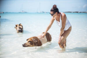 Frau streichelt Schwein, schwimmt im Meer am Pig Beach, Exuma, Bahamas, Karibik - DAWF01350