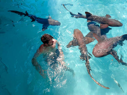 Schwimmen mit Ammenhaien Bahamas, Exuma, Compas Cay - DAWF01360