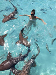 Schwimmen mit Ammenhaien Bahamas, Exuma, Compas Cay - DAWF01361