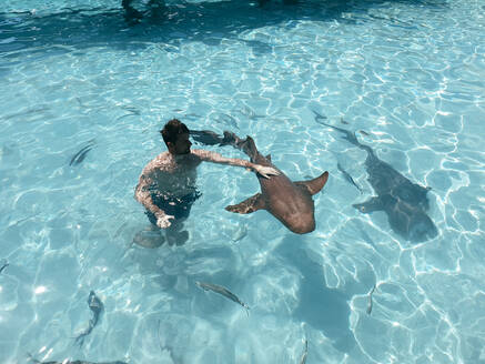 Schwimmen mit Ammenhaien Bahamas, Exuma, Compas Cay - DAWF01362