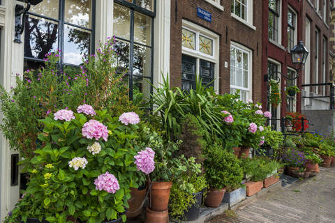 Niederlande, Provinz Nordholland, Amsterdam, Blumen wachsen vor altem Gebäude, lizenzfreies Stockfoto