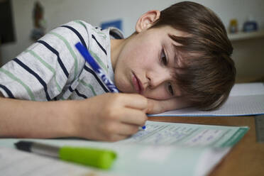 Portrait of boy doing homework - AUF00342