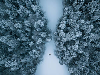 High Angle View Of Trees On Snow Covered Ground - EYF03445