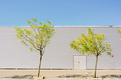 Zwei Bäume vor einem Industriegebäude - ERRF03148