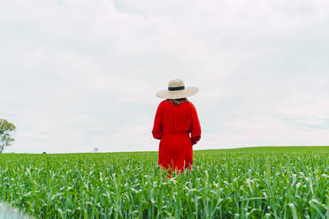 Rückenansicht einer Frau in rotem Kleid und Strohhut, die auf einem Feld steht - ERRF03217