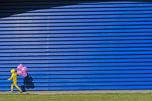 Little girl with pink balloons wearing yellow tracksuit walking in front of blue background - ERRF03243