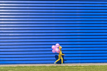 Little girl with pink balloons wearing yellow tracksuit walking in front of blue background - ERRF03244