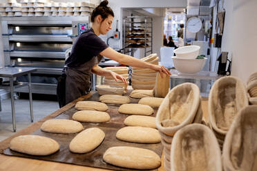 Woman wearing apron standing in an artisan bakery, shaping sourdough loaves for baking. - MINF14519