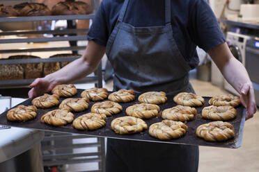 Nahaufnahme einer Person mit einem Tablett mit frisch gebackenen Zimtschnecken in einer handwerklichen Bäckerei. - MINF14534