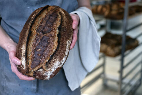 Nahaufnahme einer Person, die einen frisch gebackenen Laib Brot in einer handwerklichen Bäckerei hält. - MINF14538