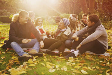 Freunde hängen ab und genießen ein Picknick im sonnigen Herbstpark - FSIF04679