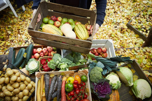 Hoher Blickwinkel eines Mannes mit frischem Obst und Gemüse in einem Korb im Garten - MASF17729