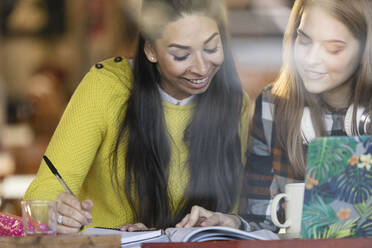 Junge Studentinnen studieren in einem Café - CAIF26077