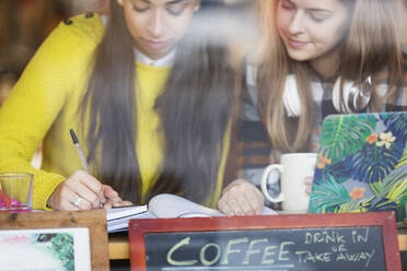 Junge Studentinnen studieren in einem Café - CAIF26088