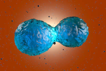 Three dimensional render of stem cell mitosis - SPCF00608