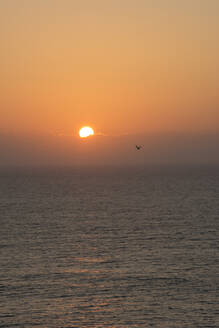 Portugal, Oeste, Alcobaca, Atlantischer Ozean bei stimmungsvollem orangenem Sonnenuntergang - FVSF00053