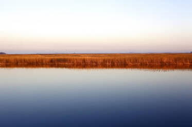 Germany, Mecklenburg-Western Pomerania, Zingst, Clear sky over grassy coastline of Baltic Sea at dusk - JTF01512