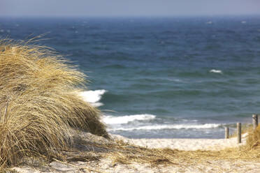 Deutschland, Mecklenburg-Vorpommern, Zingst, Braunes Gras am Küstenstrand mit Ostsee im Hintergrund - JTF01524