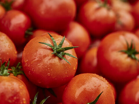 Morocco, Heap of fresh ripe tomatoes stock photo