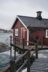 Fischerhütte an der Küste, Lofoten, Norwegen - MPPF00733