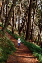 Kind geht auf einem Waldweg in Neuseeland - CAVF78186
