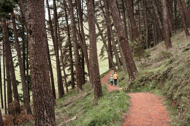 Two children hiking through forest in New Zealand - CAVF78199