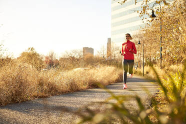 Eine Frau, die an einem warmen Herbsttag durch den Park joggt. - CAVF78403
