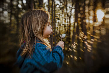 Girl blowing a dandelion at golden hour on a spring evening - CAVF78695