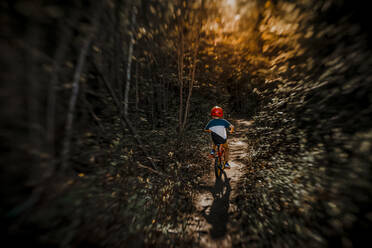 7 Jahre alter Junge auf einem Fahrrad auf einem Waldweg bei Sonnenuntergang - CAVF78700