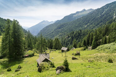 Tessiner Tal im Sommer mit Scheunen und Holzhütten und Alpen - CAVF78710