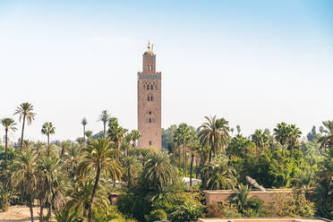 Minarett der Koutoubia-Moschee mit Palmen im Vordergrund - CAVF78805