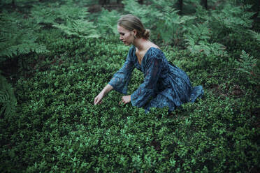 Woman picks berries in a blue dress - CAVF78843