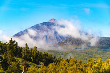 Mountain El Teide on high altitude with wilderness and forest - CAVF78938