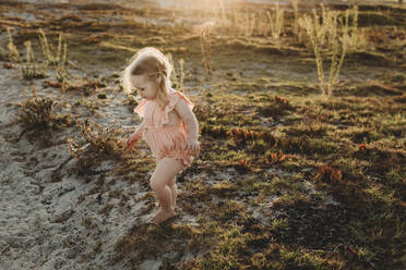 Lifestyle portrait of toddler girl walking away at beach sunset - CAVF78965