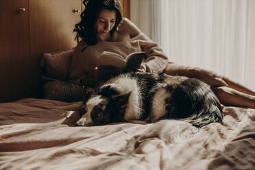 Hund auf dem Bett liegend zu Hause mit Besitzer im Hintergrund - GMLF00006