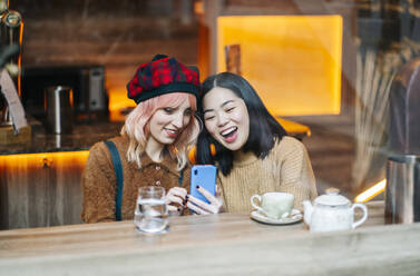 Zwei Freundinnen sitzen im Restaurant und benutzen ihr Smartphone - DGOF00687