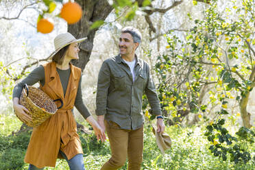 Ehepaar mit einem Korb, das durch eine Orangenplantage geht - VSMF00039