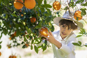 Little girl helping mother with the orange harvest - VSMF00074