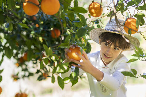 Kleines Mädchen hilft Mutter bei der Orangenernte - VSMF00074