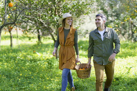 Ehepaar mit Korb voller Orangen auf dem Feld, lizenzfreies Stockfoto