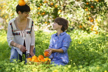 Mother and daughter harvesting oranges in the field - VSMF00137