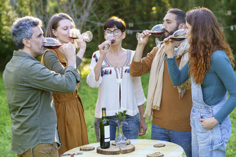 Eine Gruppe von Freunden trinkt Rotwein bei ihrem Ausflug aufs Land, lizenzfreies Stockfoto