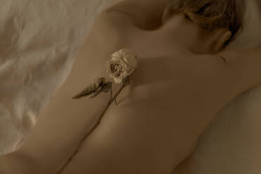 Rear view of nude woman lying in bed with dried flower - ERRF03400