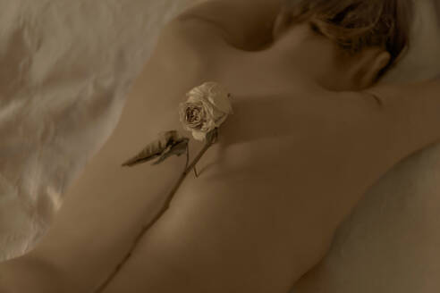 Rückansicht einer nackten Frau im Bett liegend mit getrockneter Blume - ERRF03400