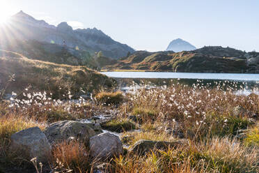 Schweiz, Kanton Graubünden, Wiese vor dem Crap Alv Lajets See bei Herbstsonnenuntergang - HBIF00100