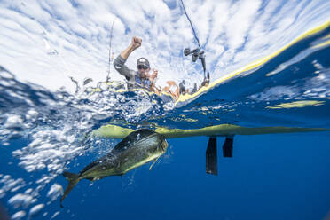 Split shot of man in a kayak catching a fish - AMUF00048