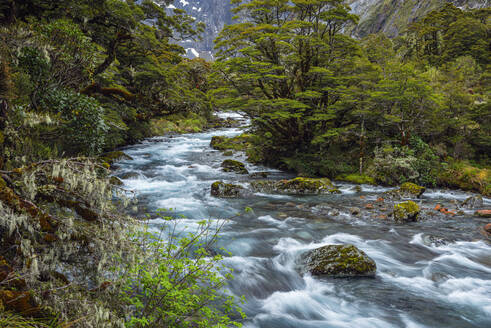 Neuseeland, Südland, Te Anau, Lange Belichtung des Hollyford River - RUEF02778